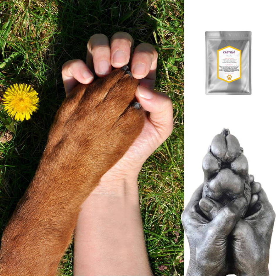 Dog paw mould kit best sale