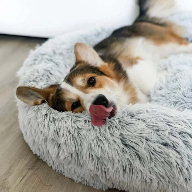 Absolut pet top soothing bed