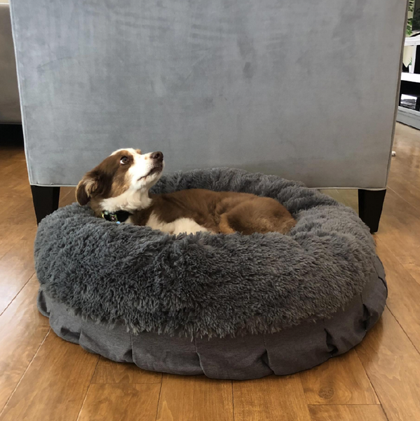 Absolute pet top soothing bed